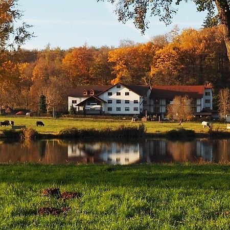 Landgasthof Rotlipp Gaestezimmer Ortenberg  ภายนอก รูปภาพ