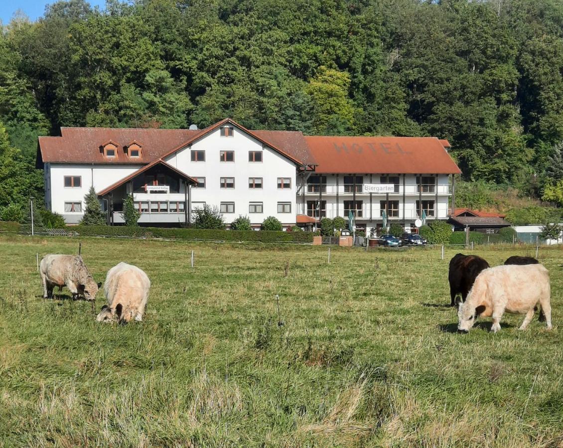 Landgasthof Rotlipp Gaestezimmer Ortenberg  ภายนอก รูปภาพ