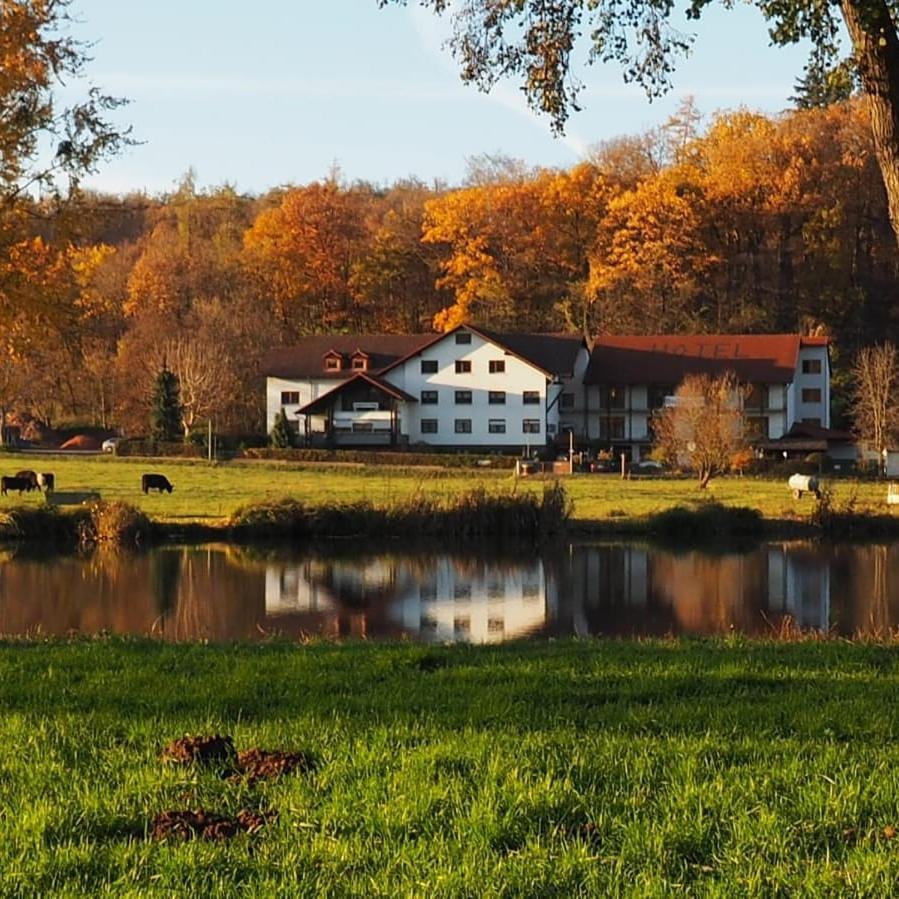 Landgasthof Rotlipp Gaestezimmer Ortenberg  ภายนอก รูปภาพ