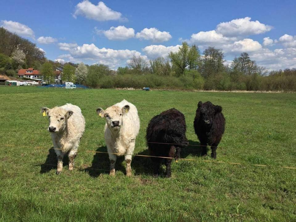 Landgasthof Rotlipp Gaestezimmer Ortenberg  ภายนอก รูปภาพ
