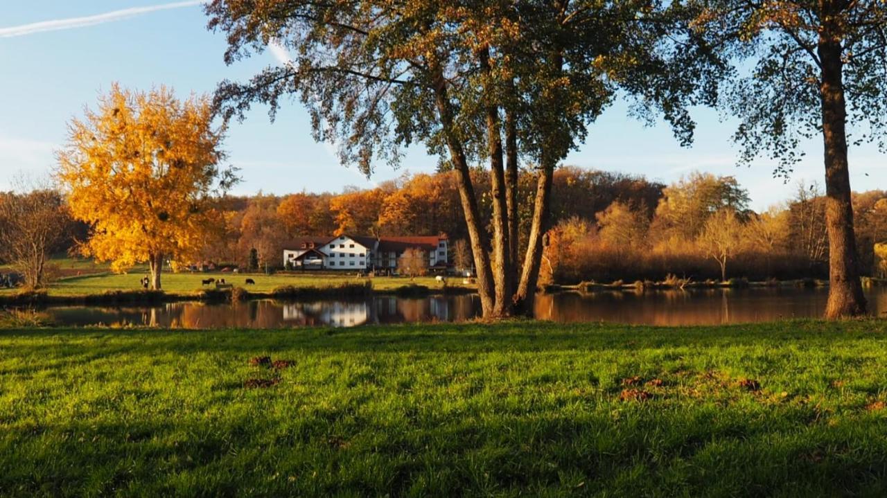Landgasthof Rotlipp Gaestezimmer Ortenberg  ภายนอก รูปภาพ