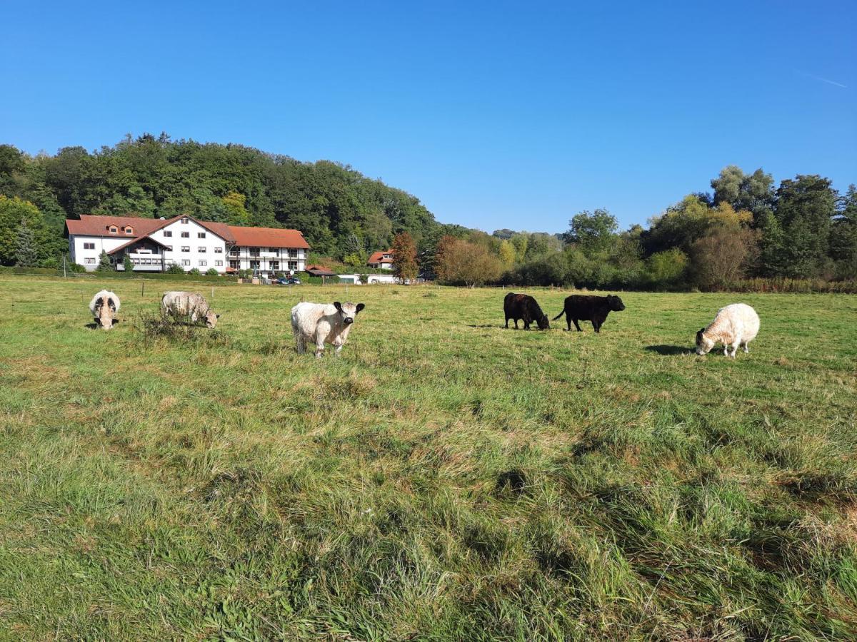 Landgasthof Rotlipp Gaestezimmer Ortenberg  ภายนอก รูปภาพ